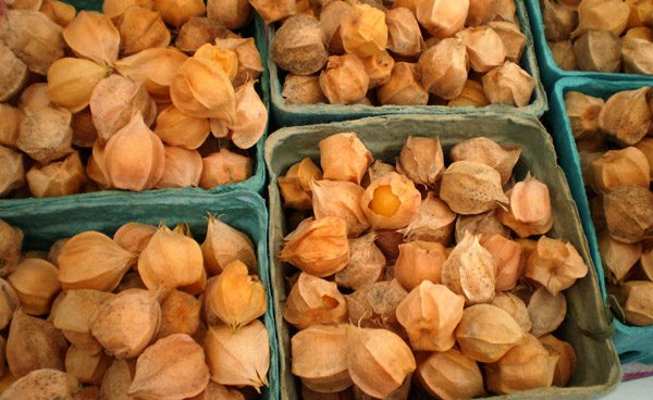 pick yourself off the ground tomato pie.jpg